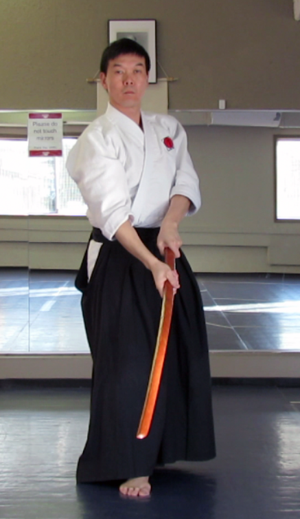Raf Sensei Gedan